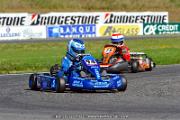 DSC_ (1168)